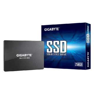 اس اس دی اینترنال گیگابایت مدل GP-GSTFS31256GTND ظرفیت 256 گیگابایت 102747208